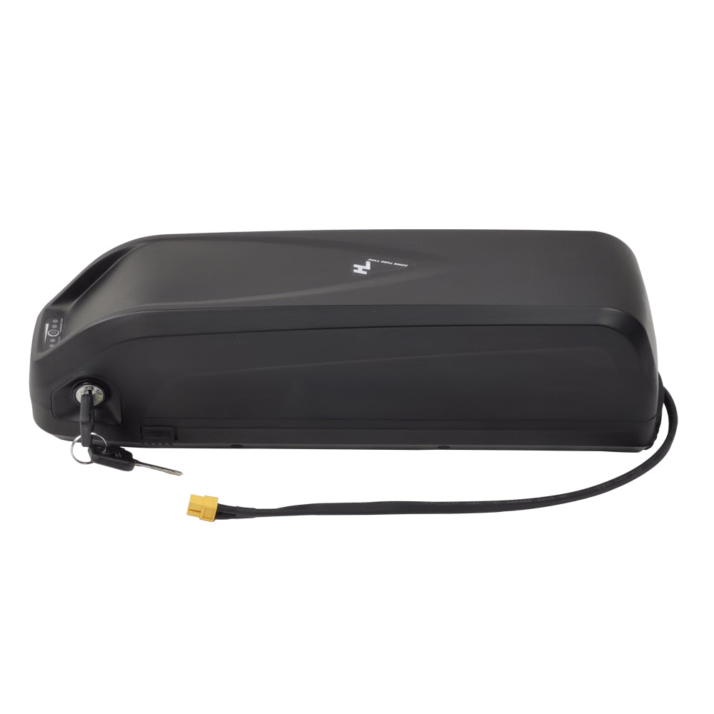 France stock Hailong 48V17.5Ah ebike battery Panasonic cell 30A BMS with 3A charger, support 1000W motor, 12months warranty